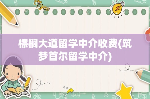 棕榈大道留学中介收费(筑梦首尔留学中介)