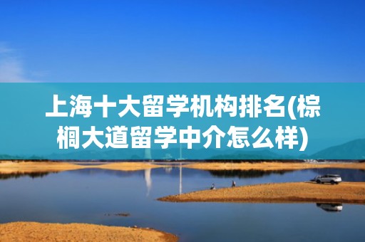 上海十大留学机构排名(棕榈大道留学中介怎么样)