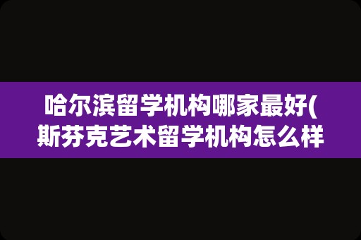 哈尔滨留学机构哪家最好(斯芬克艺术留学机构怎么样)